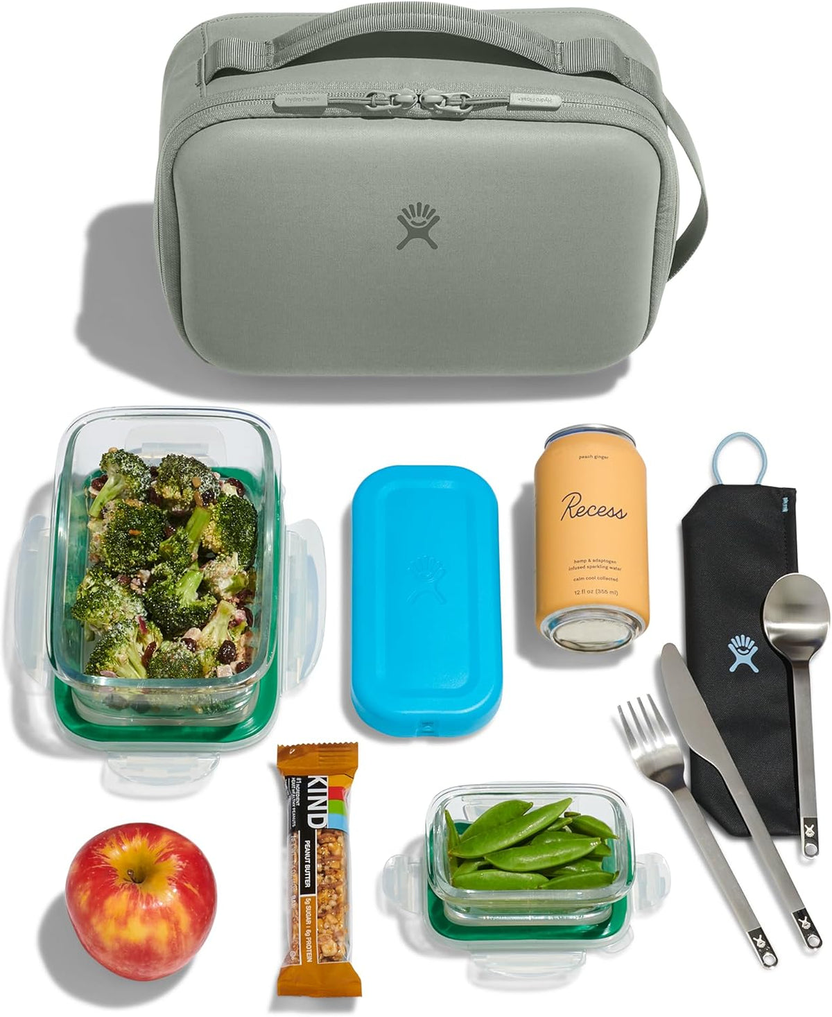 Hydro Flask Carry Out Lunch Box – Insulated Adult Lunch Cooler for Men and Women 5 L Sandpiper